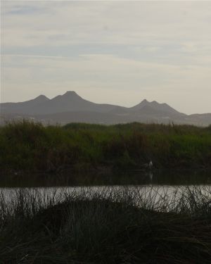 Nature WS - 20.jpg